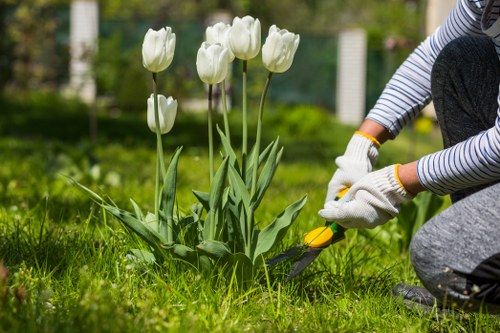 Accessible lawn care team meeting in Lee neighborhood