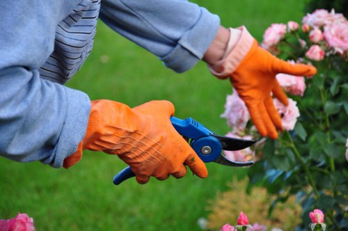 Garden clearance crew loading branches and green waste for licensed disposal