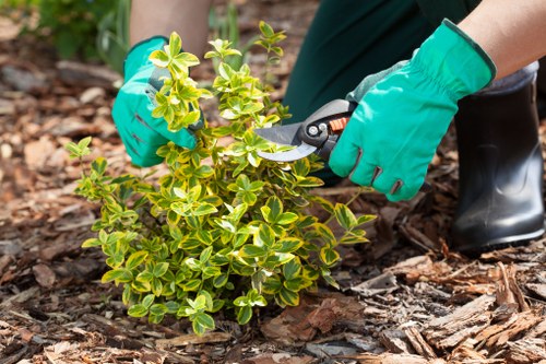Insurance certificate and documents showing public liability cover for a gardening company