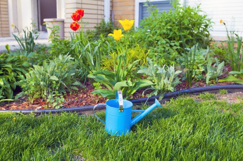 Healthy green grass with proper mowing