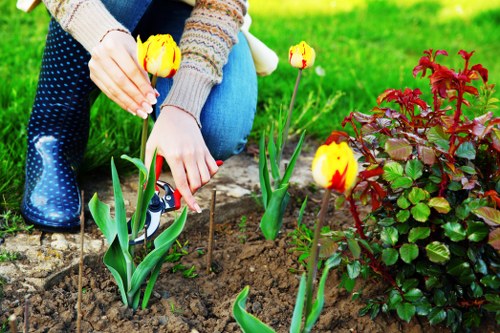 Variety of grass types suitable for Lee's climate